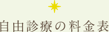 自由診療の料金表